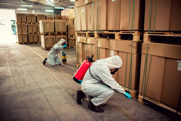 Best Flea Control Services  in Grill, PA